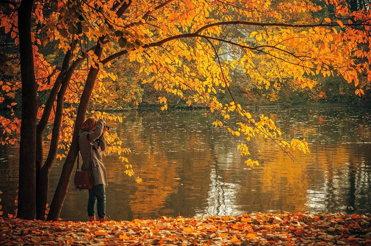 Le lac du parc Herăstrău en automne, pour un dimanche au calme